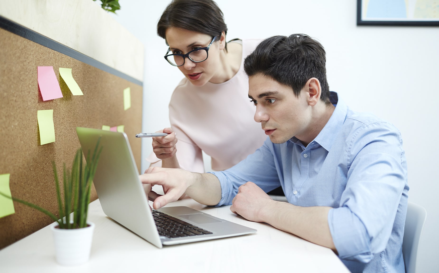 Software trainer
